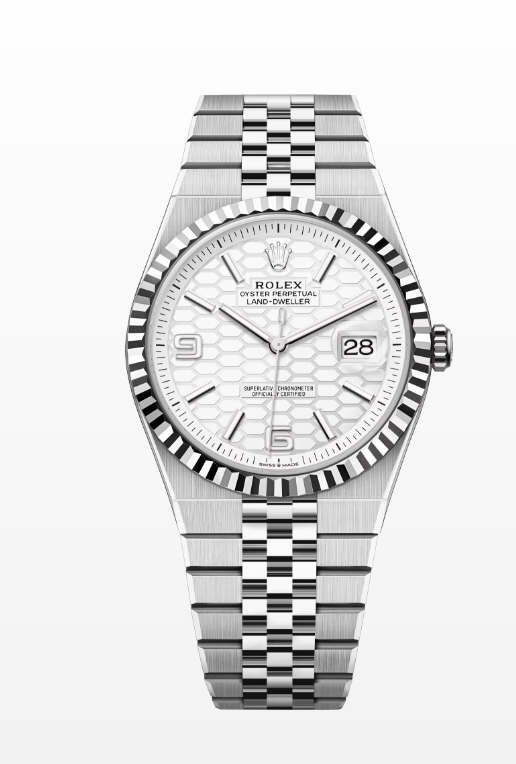 WATCH AND WONDERS 2025 - ROLEX LAND DWELLER