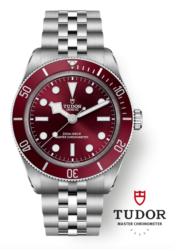 WATCH AND WONDERS 2025 - TUDOR BLACK BAY 58 BORDEAUX